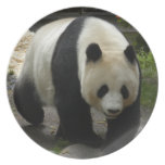 giant-panda-10x10 party plates