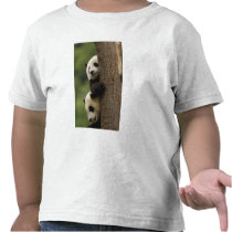 Giant panda babies Ailuropoda melanoleuca) 2 Shirts