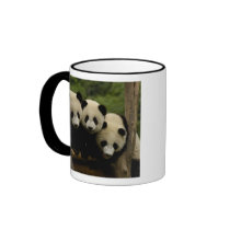 Giant panda babies Ailuropoda melanoleuca) 3 Mugs