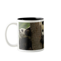 Giant panda babies Ailuropoda melanoleuca) 4 Mugs