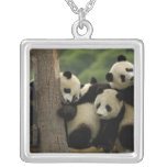 Giant panda babies Ailuropoda melanoleuca) 4 necklaces