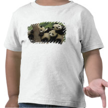 Giant panda babies Ailuropoda melanoleuca) 4 Shirts