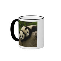 Giant panda babies Ailuropoda melanoleuca) 6 Mug