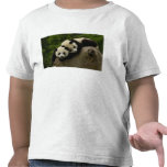 Giant panda babies Ailuropoda melanoleuca) 6 t-shirts