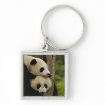 Giant panda babies Ailuropoda melanoleuca) 7 Key Chains