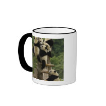 Giant panda babies Ailuropoda melanoleuca) Mugs