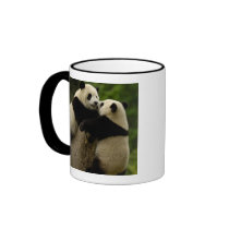 Giant panda babies (Ailuropoda melanoleuca) Coffee Mug