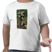 Giant panda babies Ailuropoda melanoleuca) Tee Shirt