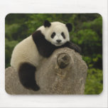 Giant panda baby Ailuropoda melanoleuca) 11 Mouse Pads