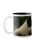 Giant panda baby Ailuropoda melanoleuca) 7 mugs