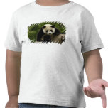 Giant panda baby Ailuropoda melanoleuca) 9 t-shirts
