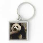 Giant panda baby Ailuropoda melanoleuca) keychains