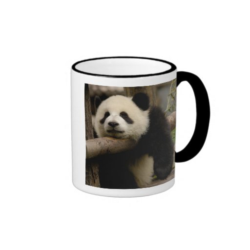 Giant panda baby Ailuropoda melanoleuca) Coffee Mug