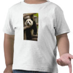 Giant panda baby Ailuropoda melanoleuca) t-shirts
