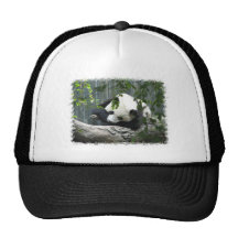 Giant Panda Baseball Cap Mesh Hats