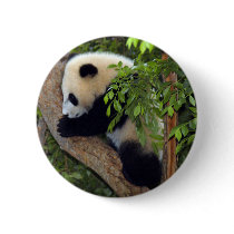 Giant Panda Bear & Baby Panda Button