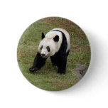 Giant Panda Bear & Baby Panda Button