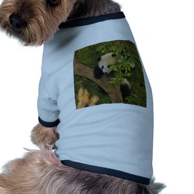 Giant Panda Bear dog shirts. Use the "Customize It" feature to add your own text or graphics to make this panda and baby panda dog shirt just the way you 