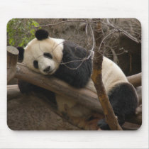 Giant Panda Bear & Baby Panda Mousepad