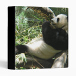 Giant Panda Bear Binder