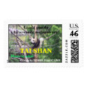 Giant panda bear cute cub Tai Shan postage