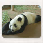Giant Panda Bear Mousepad