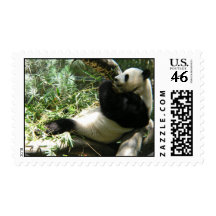 Giant Panda Bear Postage Stamp