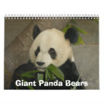 Giant Panda Bears Calendar, Giant Panda Bears