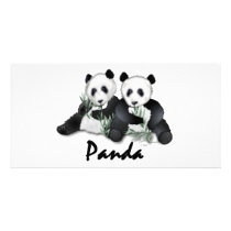 Giant Panda Bears photo cards