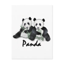 Giant Panda Bears postcards
