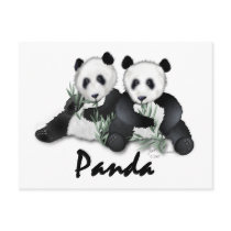 Giant Panda Bears postcards