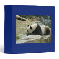 Giant panda binder