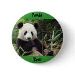 giant-panda-china-big(1), Panda , Bear buttons
