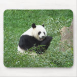 Giant Panda Eating Bamboo Mousepad