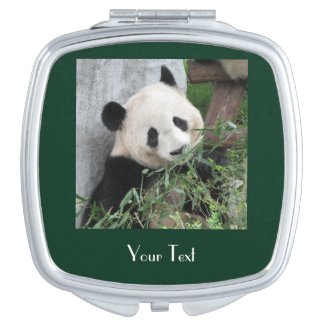 Giant Panda Green Background Custom Compact Mirror
