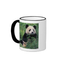 Giant panda in the grass, Wolong Valley, Sichuan Mug