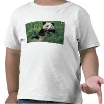 Giant panda in the grass, Wolong Valley, Sichuan T-shirt