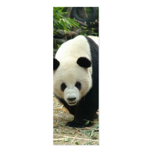 Giant panda mini bookmark business card templates (front side)