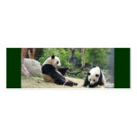 Giant panda mini bookmark business cards
