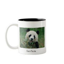 Giant Panda Mug