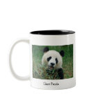 Giant Panda mugs