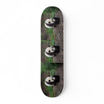 Giant Panda Photo Skateboard
