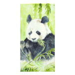 Giant Panda photocards Picture Card