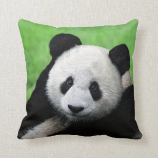 giant panda pillow