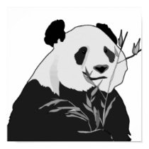 Giant Panda posters