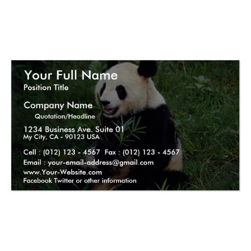 Giant panda, Sichuan Province, China Business Card (front side)