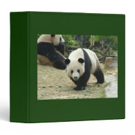 Giant panda vinyl binder