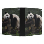 Giant pandas at the Giant Panda Protection &amp; 3 Binder