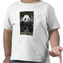 Giant pandas at the Giant Panda Protection & Tshirts