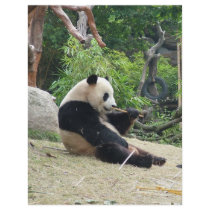 Giant pandas flyers